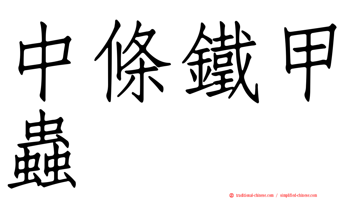 中條鐵甲蟲