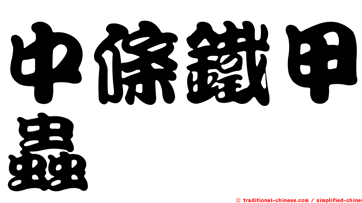 中條鐵甲蟲