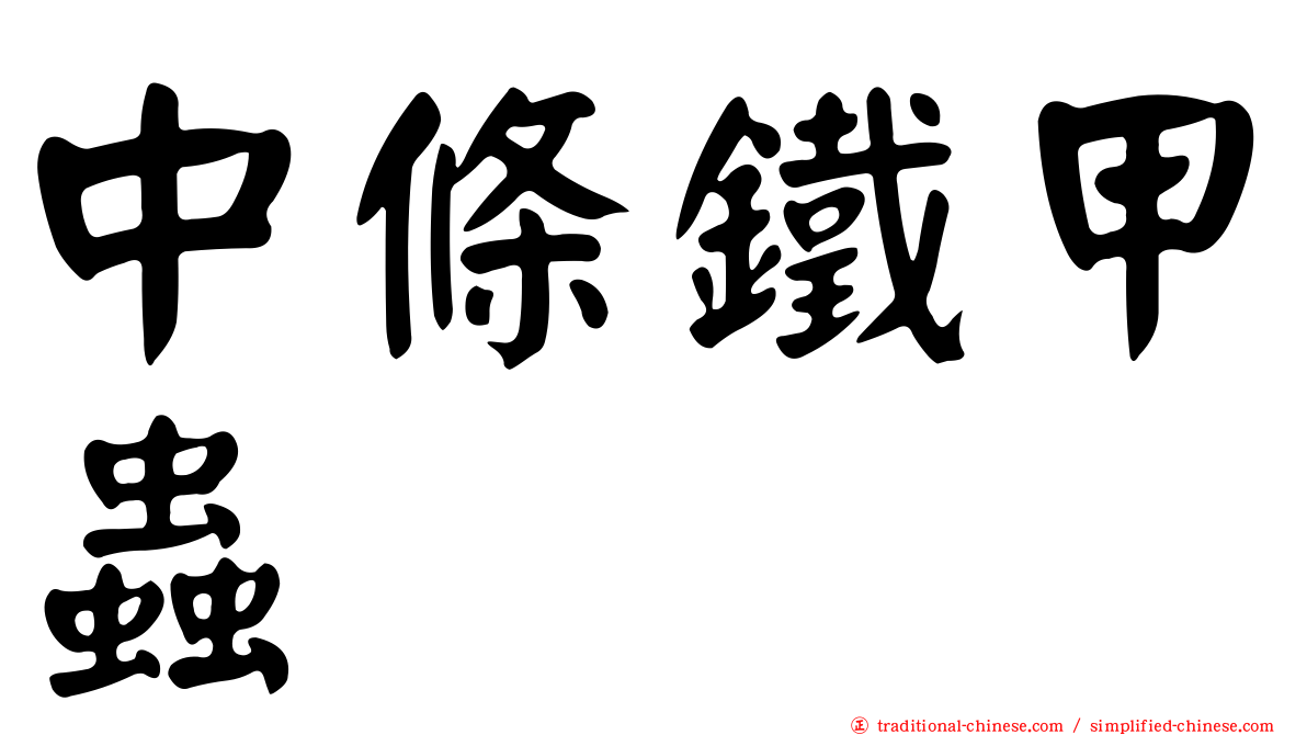 中條鐵甲蟲
