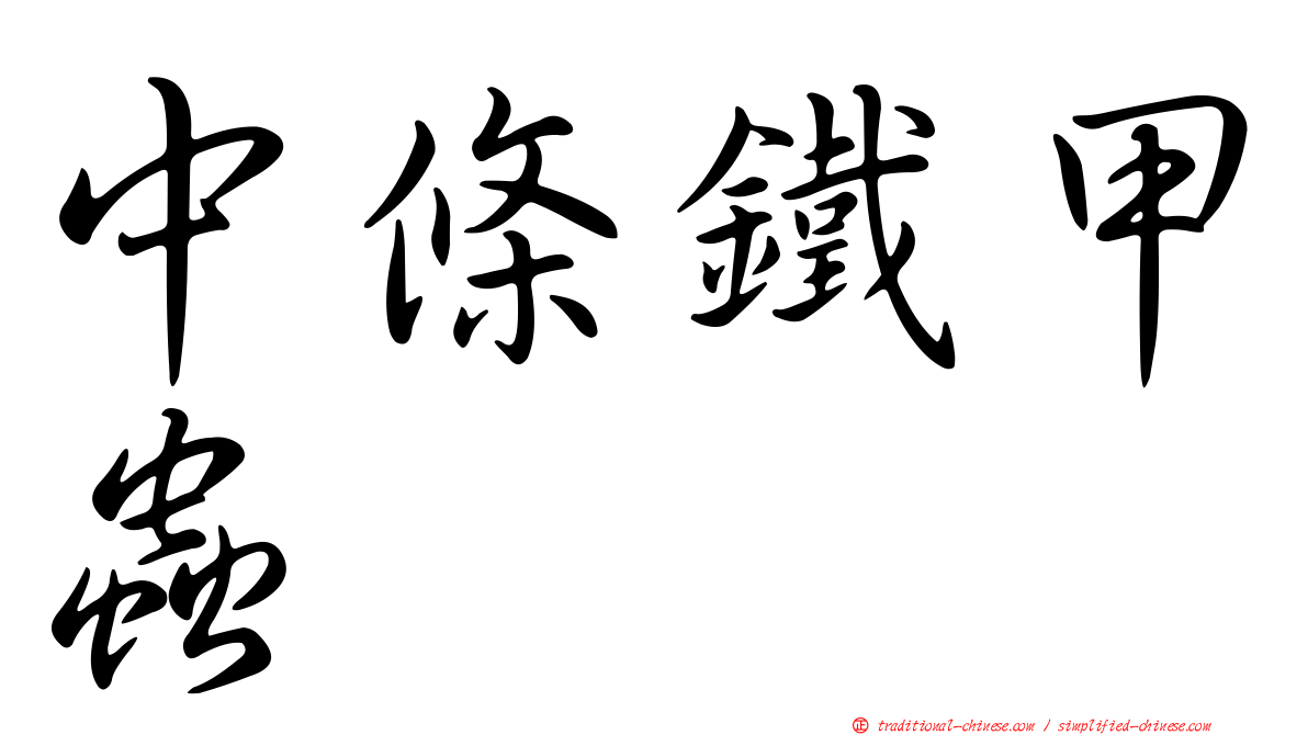 中條鐵甲蟲