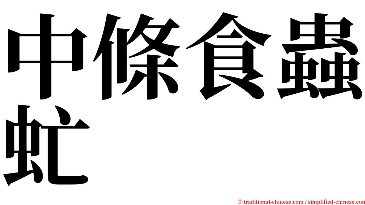 中條食蟲虻 serif font