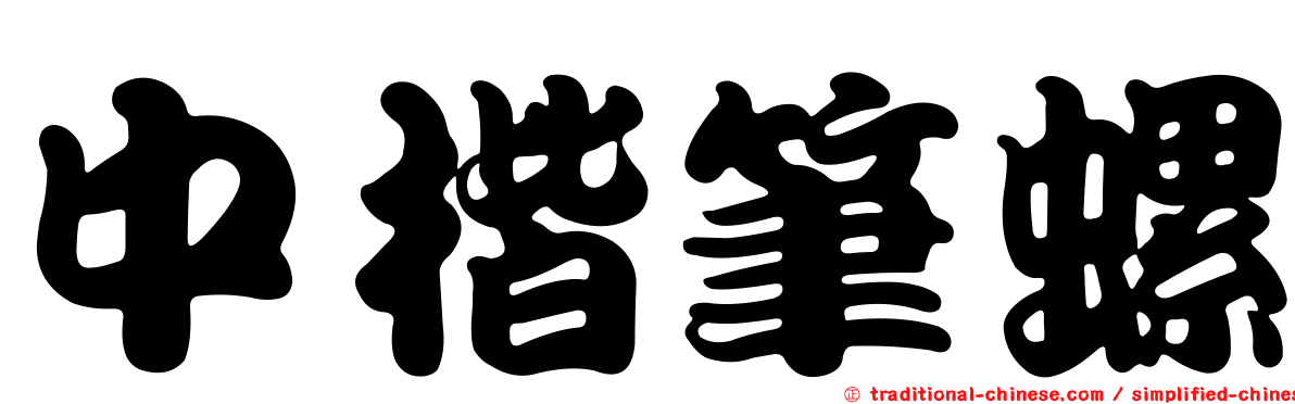 中楷筆螺