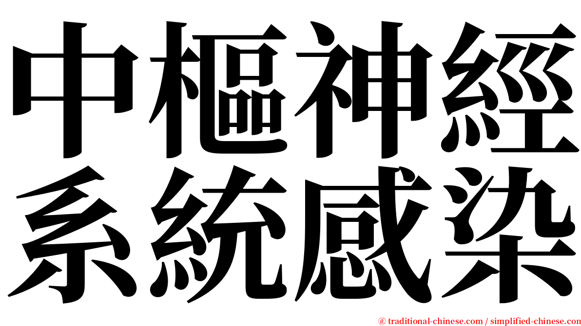 中樞神經系統感染 serif font