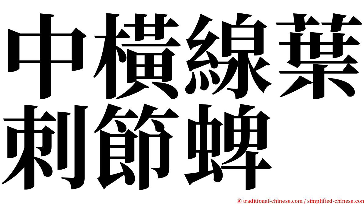 中橫線葉刺節蜱 serif font