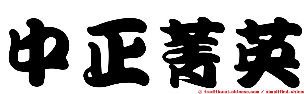 中正菁英