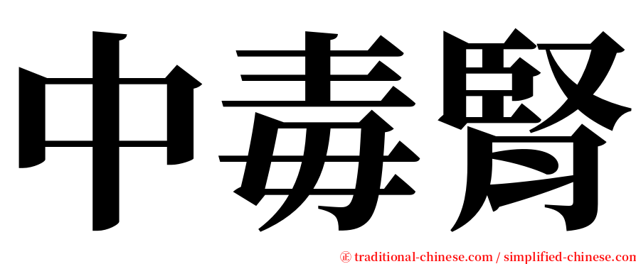 中毒腎 serif font