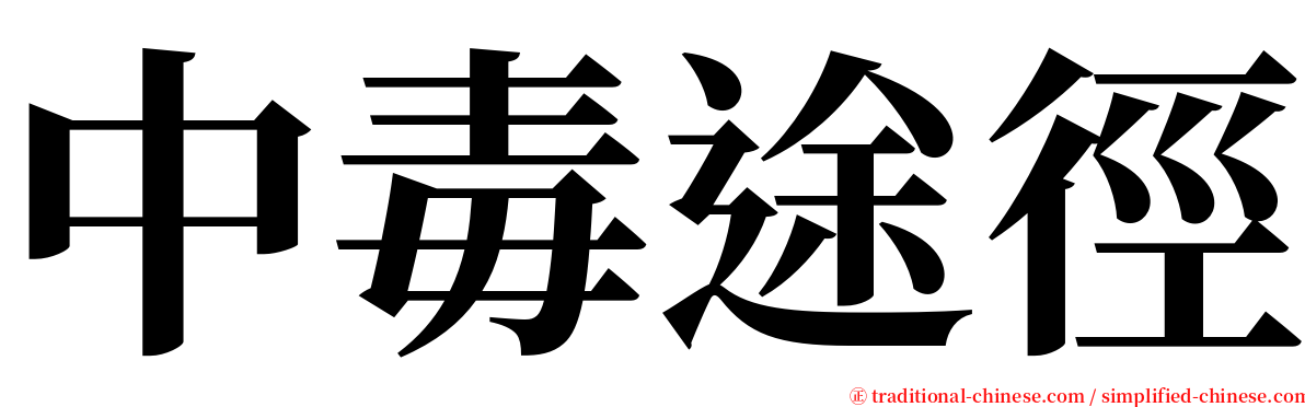 中毒途徑 serif font