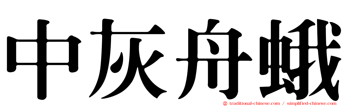 中灰舟蛾