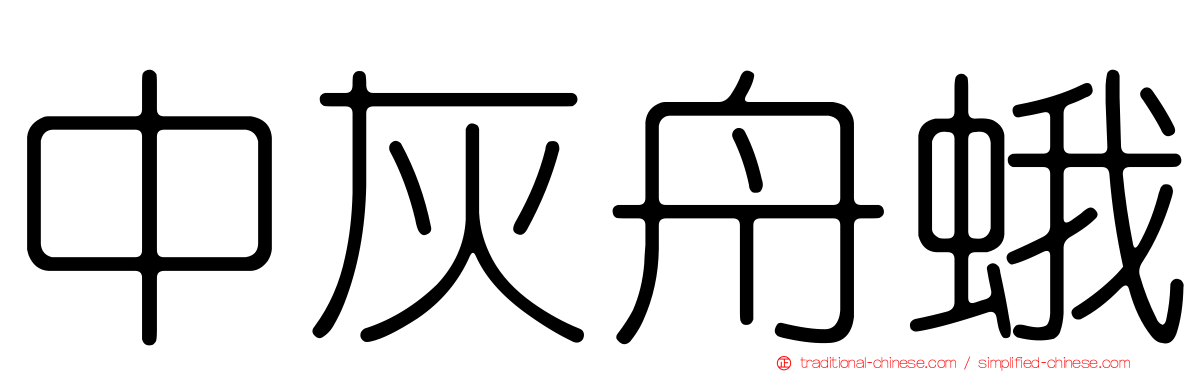 中灰舟蛾
