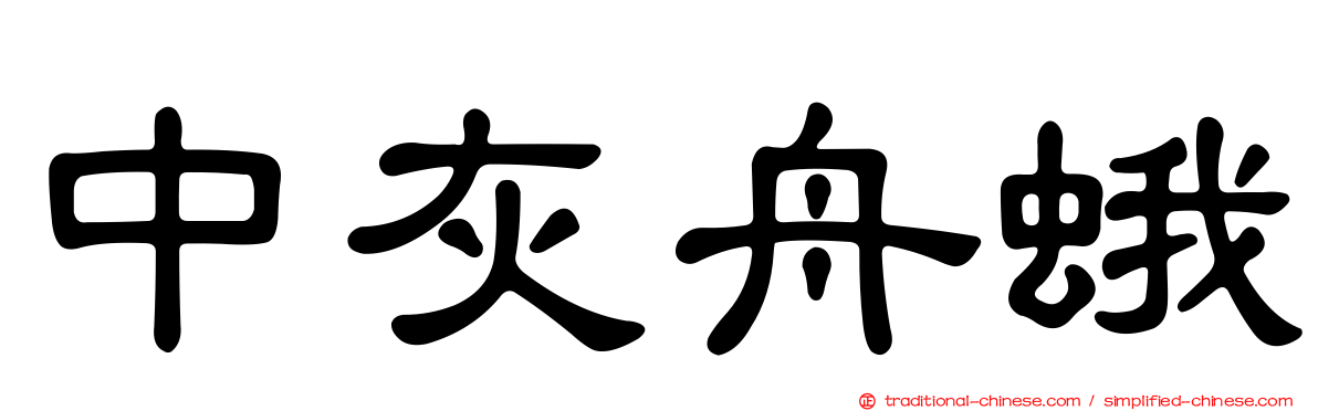 中灰舟蛾