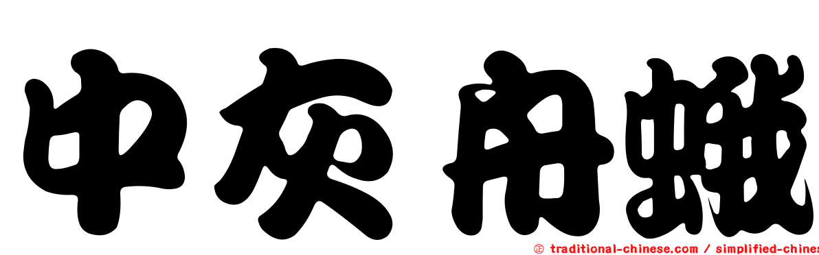中灰舟蛾