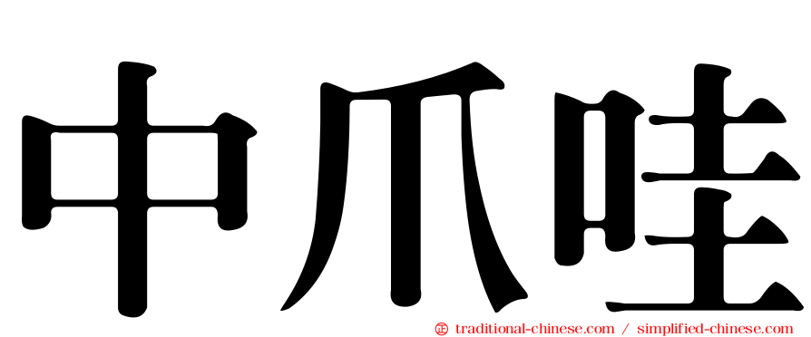 中爪哇