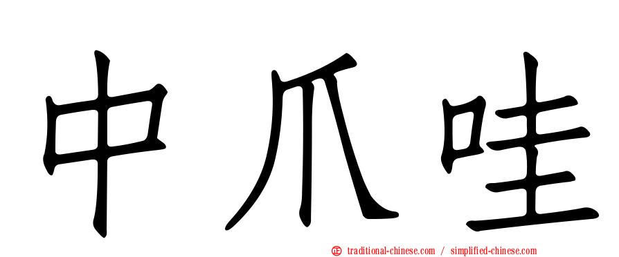 中爪哇