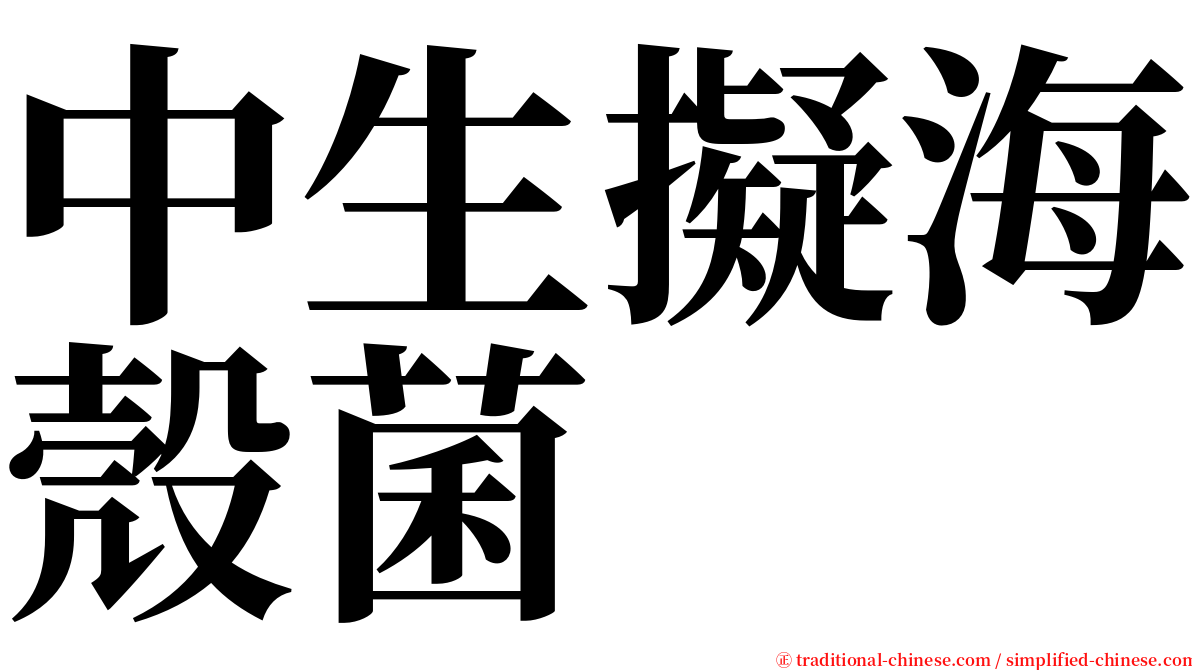 中生擬海殼菌 serif font