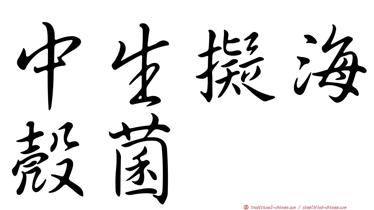 中生擬海殼菌