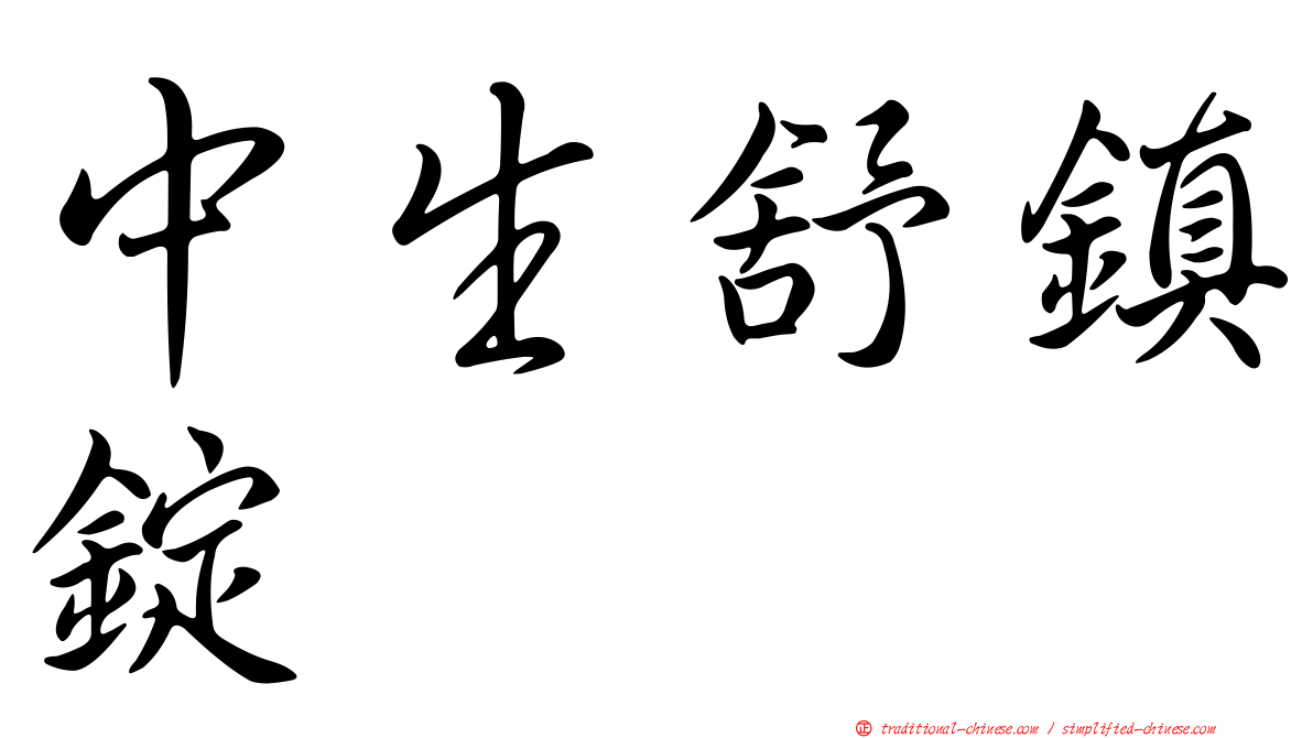 中生舒鎮錠