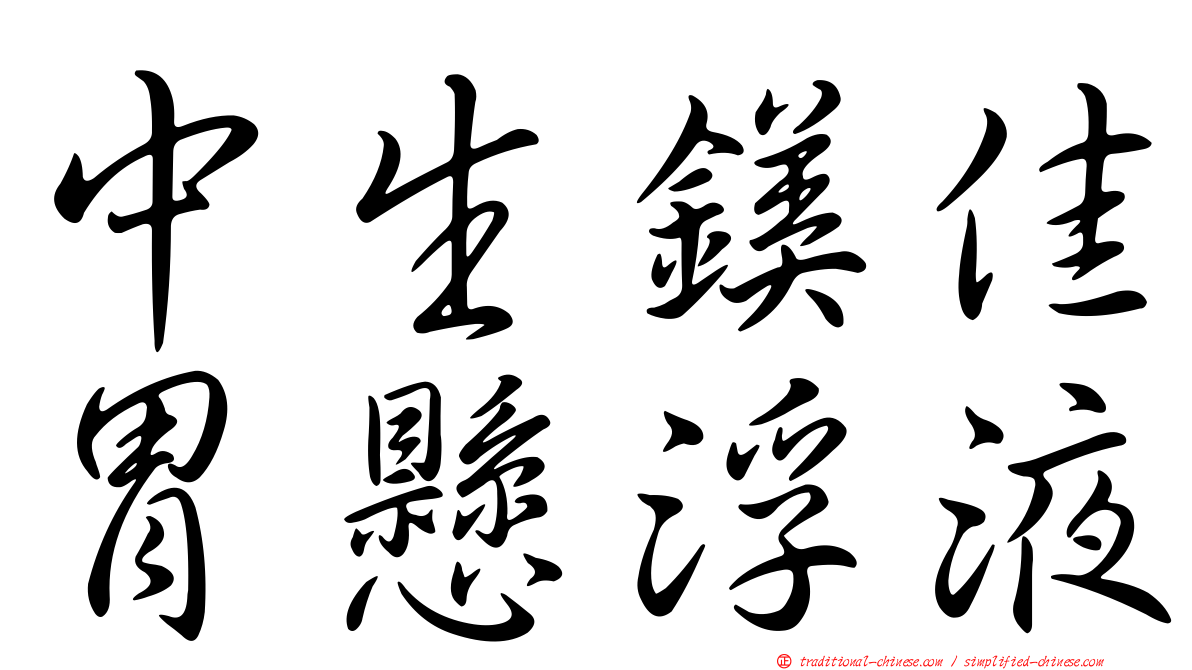 中生鎂佳胃懸浮液