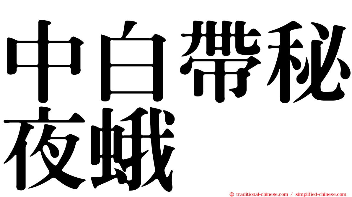中白帶秘夜蛾