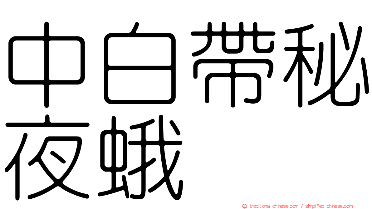 中白帶秘夜蛾
