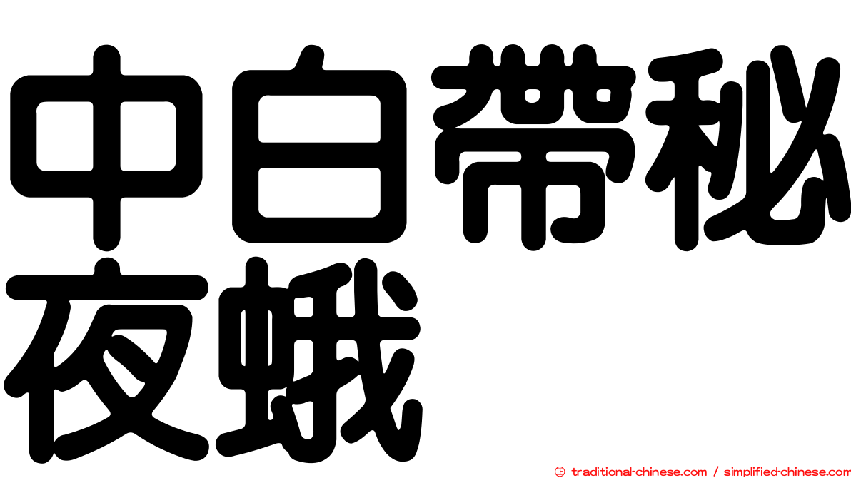 中白帶秘夜蛾