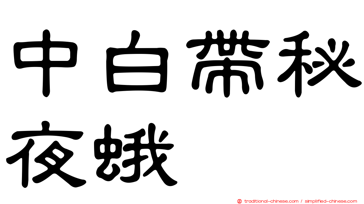 中白帶秘夜蛾