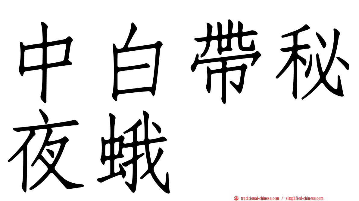 中白帶秘夜蛾