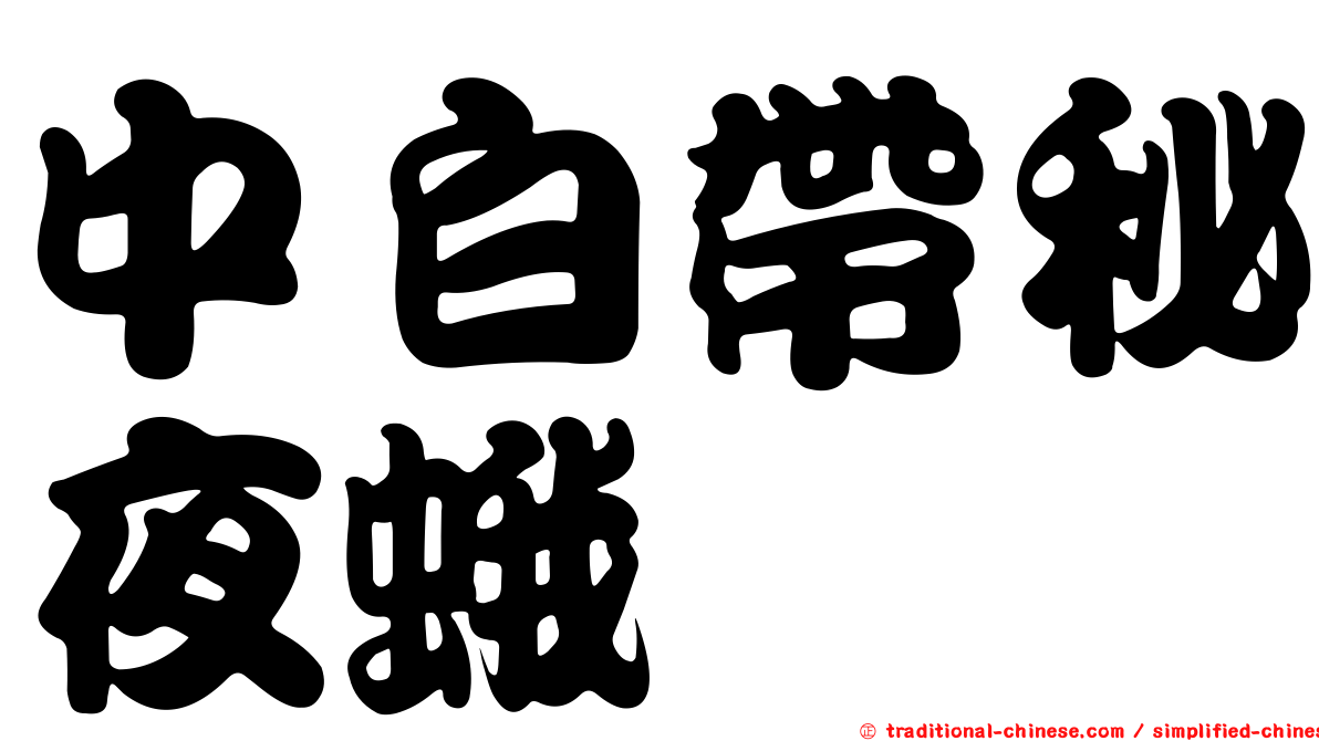 中白帶秘夜蛾