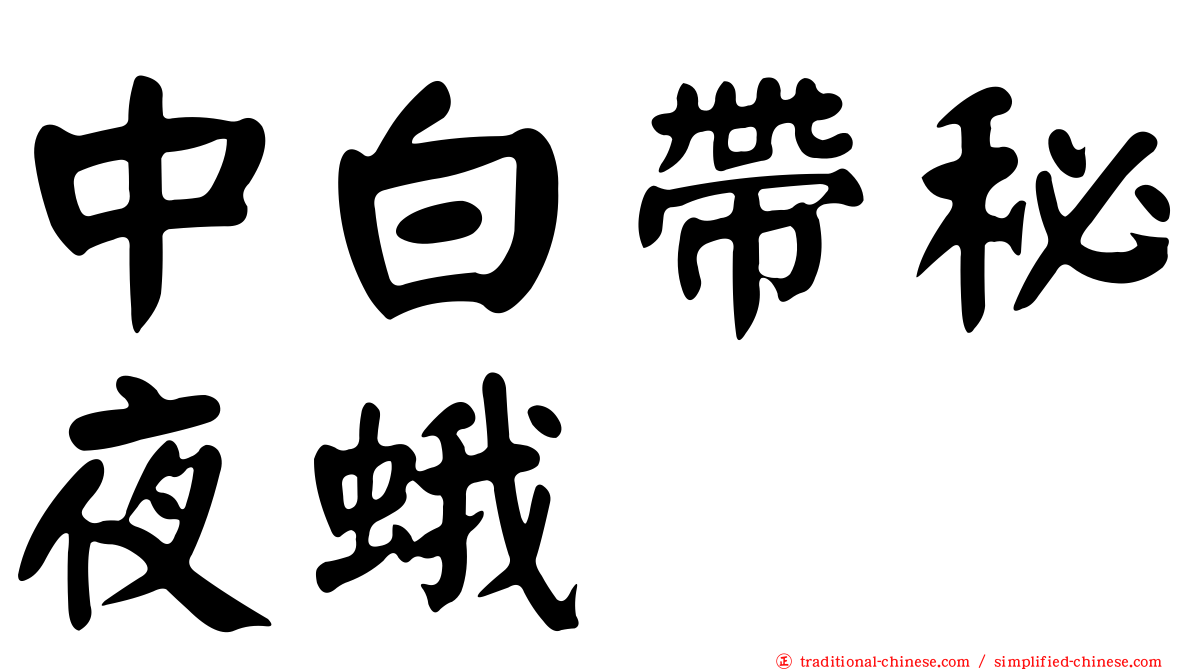 中白帶秘夜蛾