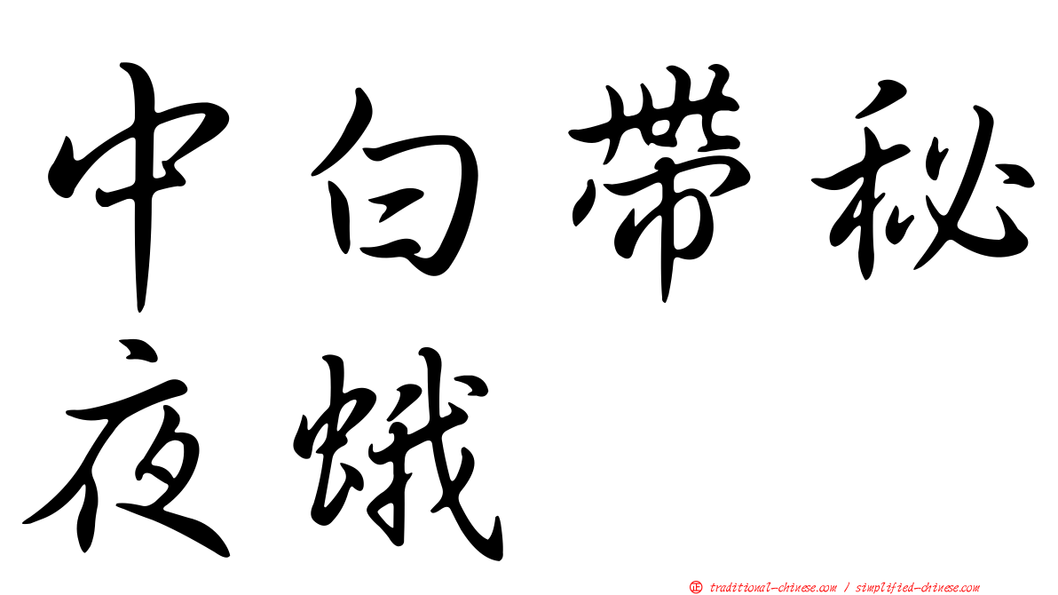 中白帶秘夜蛾