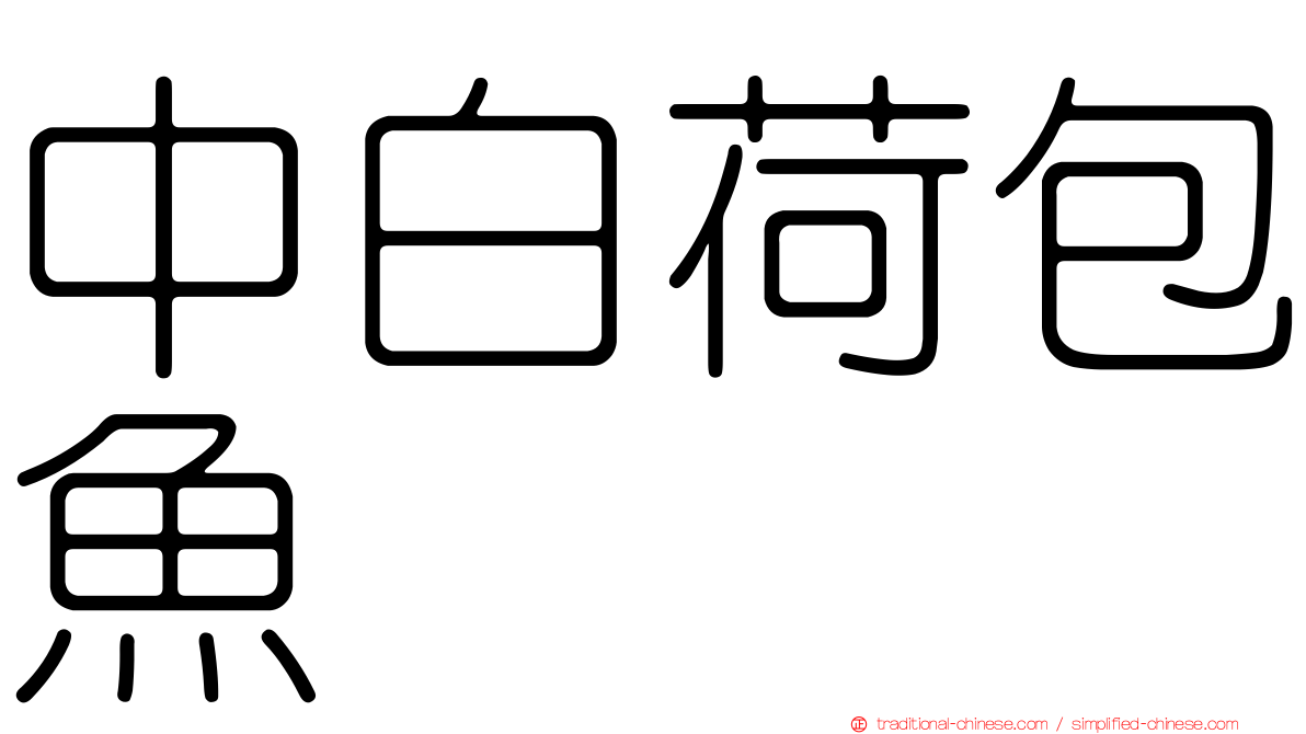 中白荷包魚