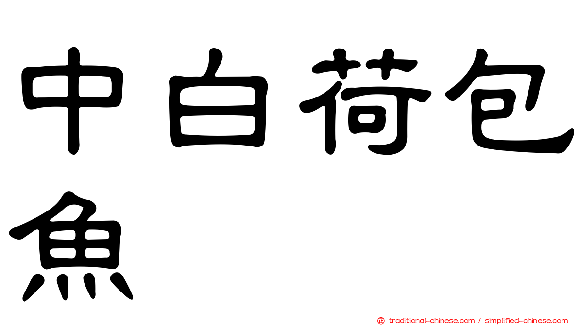 中白荷包魚