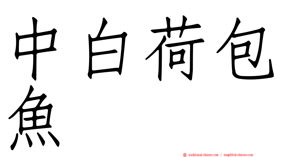中白荷包魚