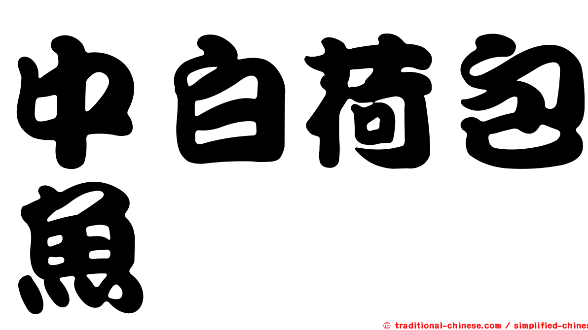 中白荷包魚