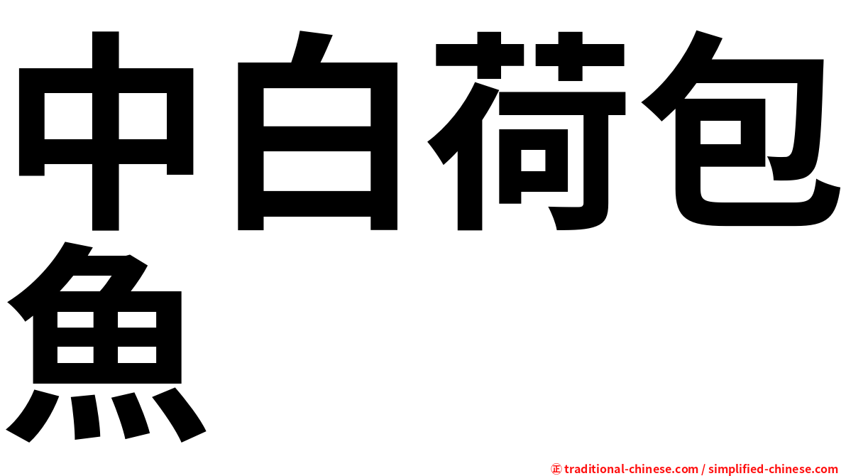中白荷包魚