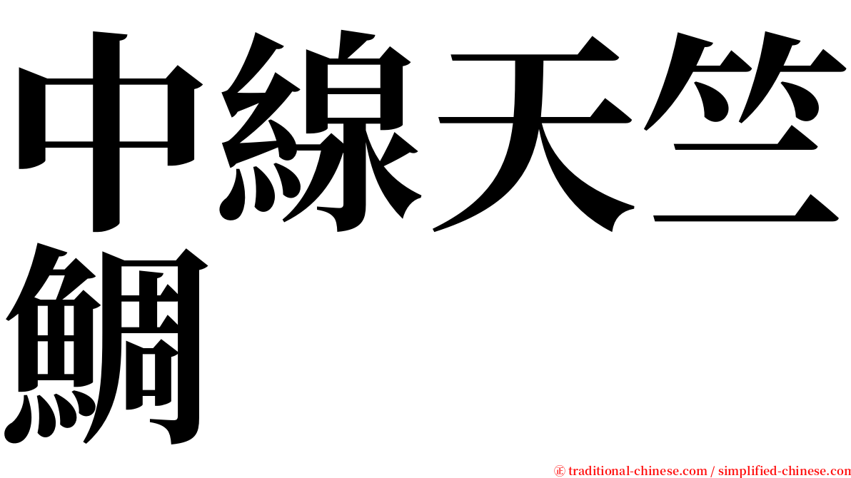 中線天竺鯛 serif font