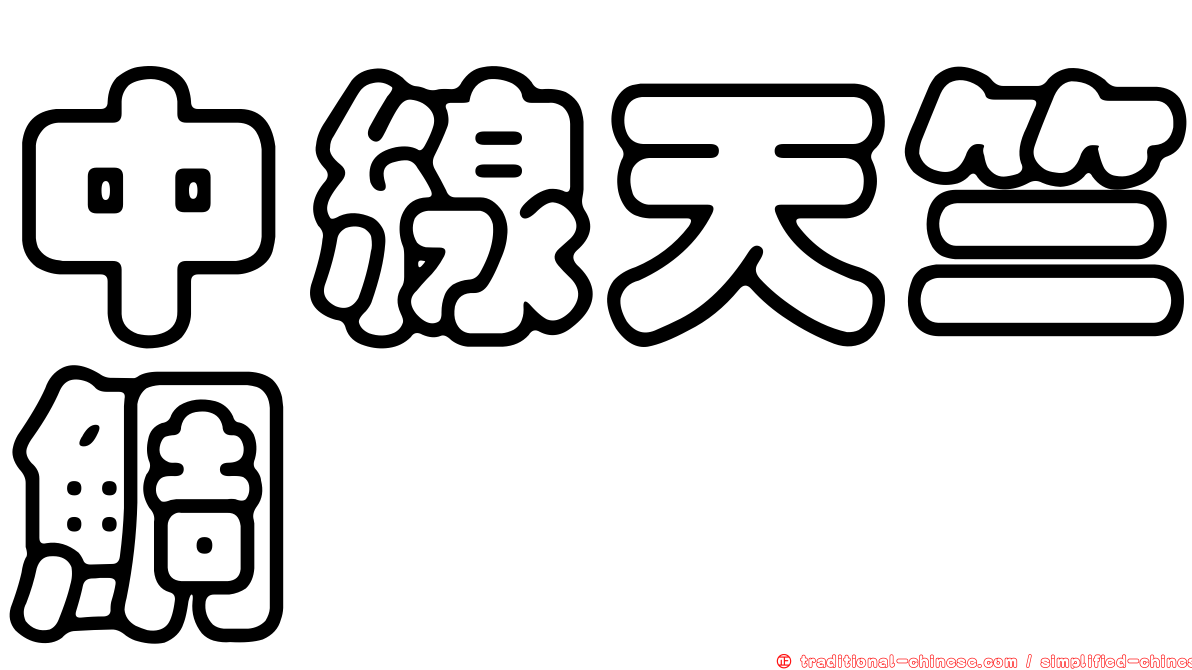 中線天竺鯛