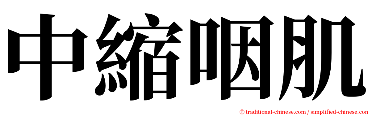 中縮咽肌 serif font