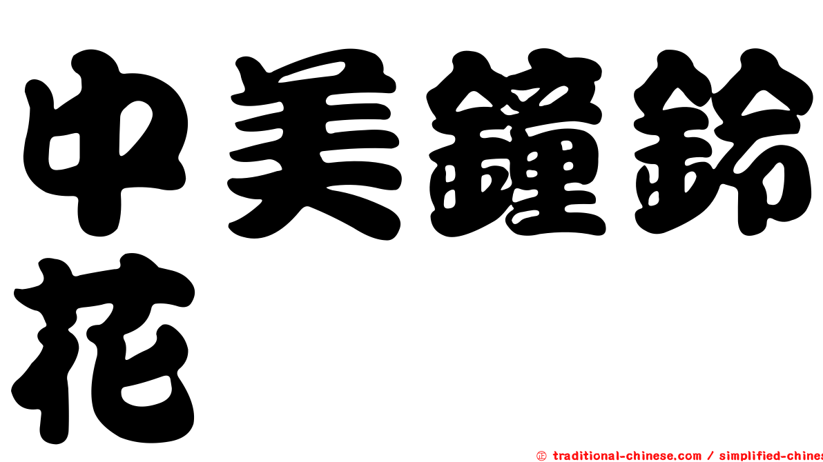 中美鐘鈴花