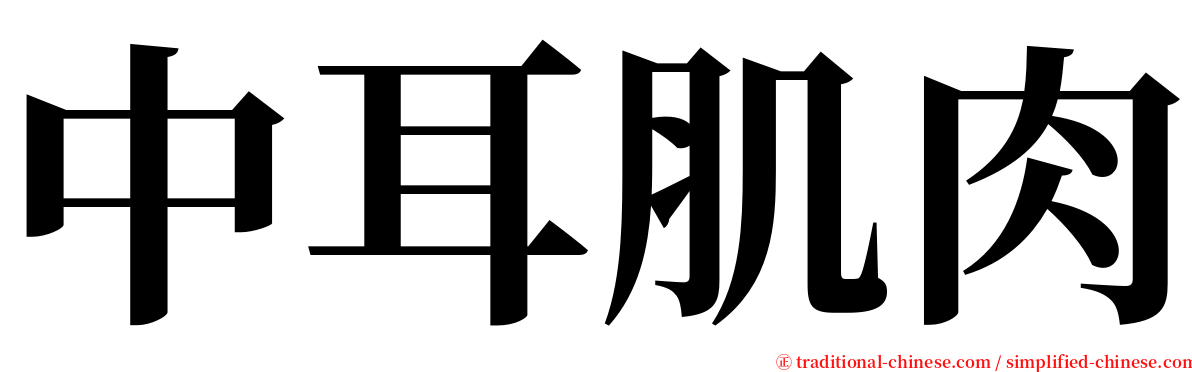 中耳肌肉 serif font
