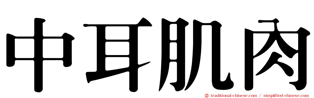 中耳肌肉