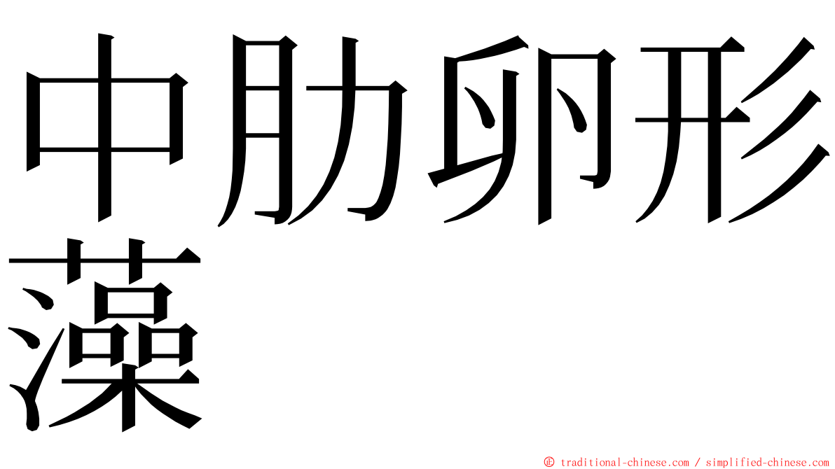 中肋卵形藻 ming font