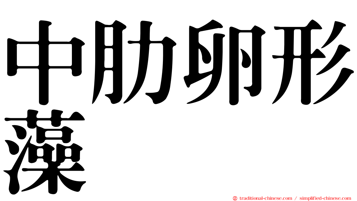 中肋卵形藻