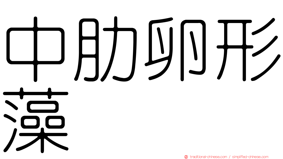 中肋卵形藻