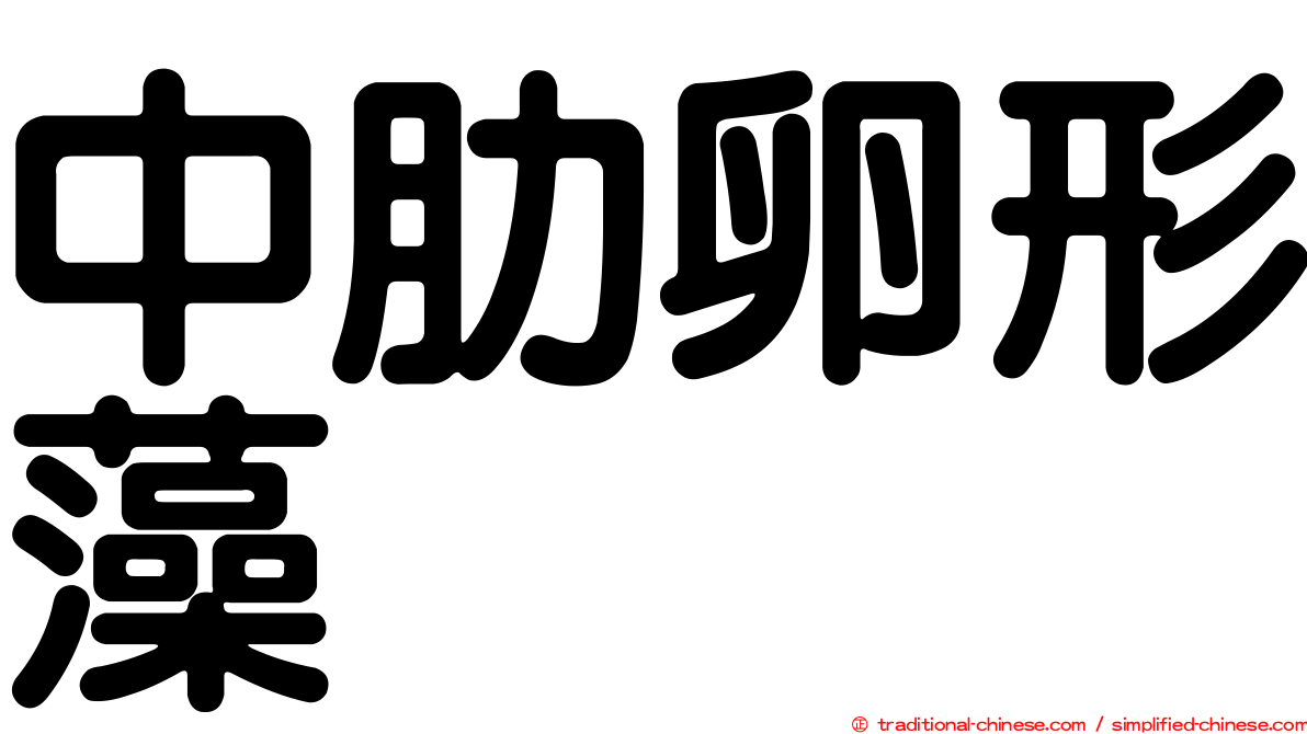 中肋卵形藻