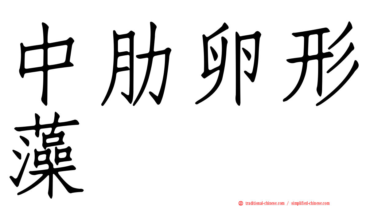 中肋卵形藻