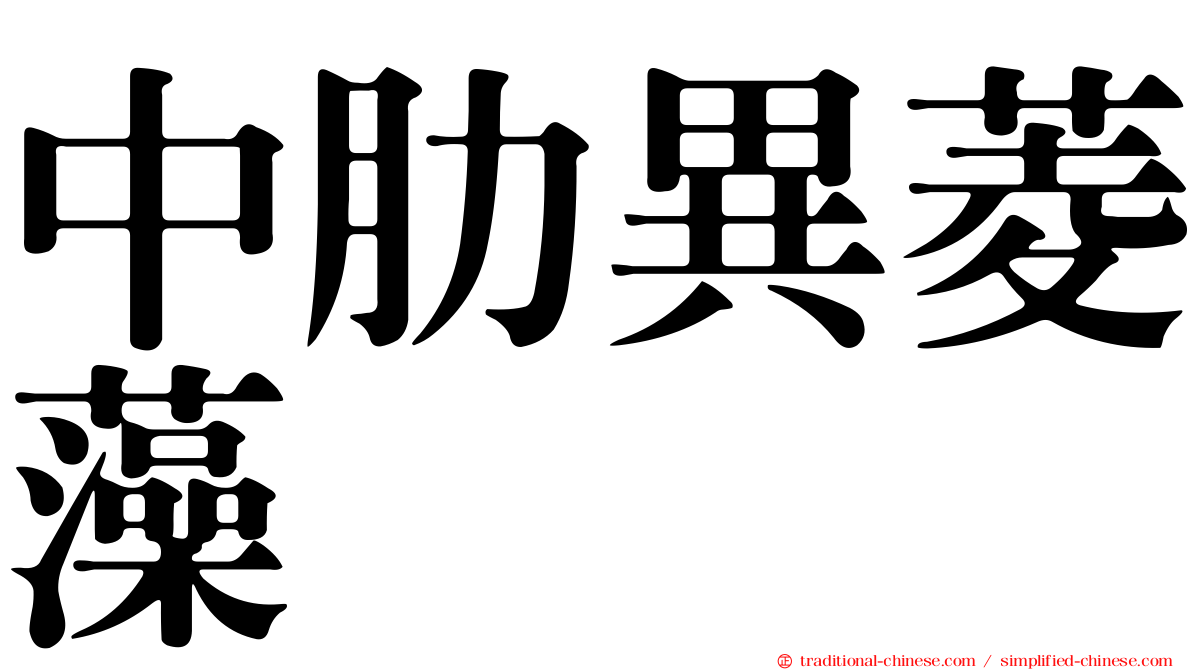中肋異菱藻