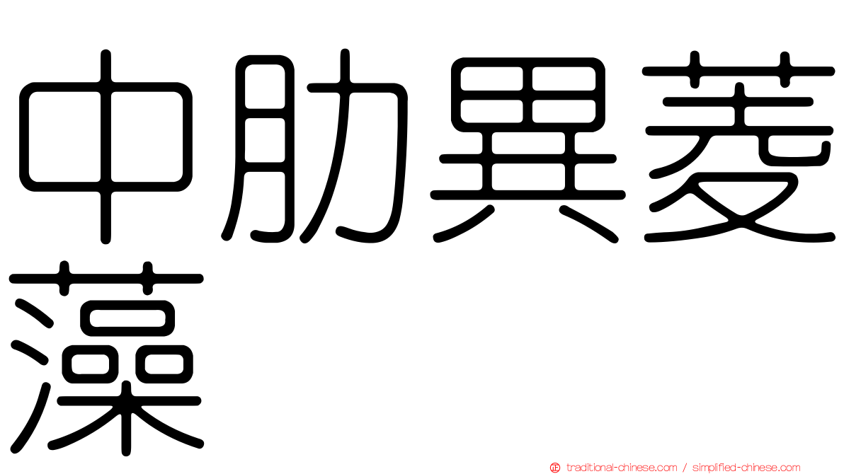 中肋異菱藻