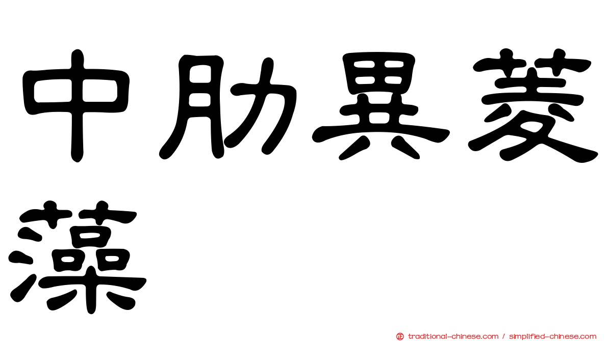 中肋異菱藻