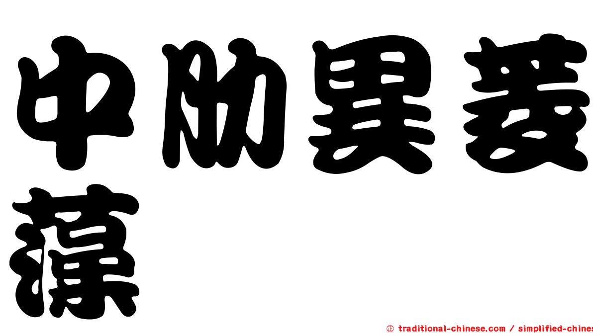 中肋異菱藻