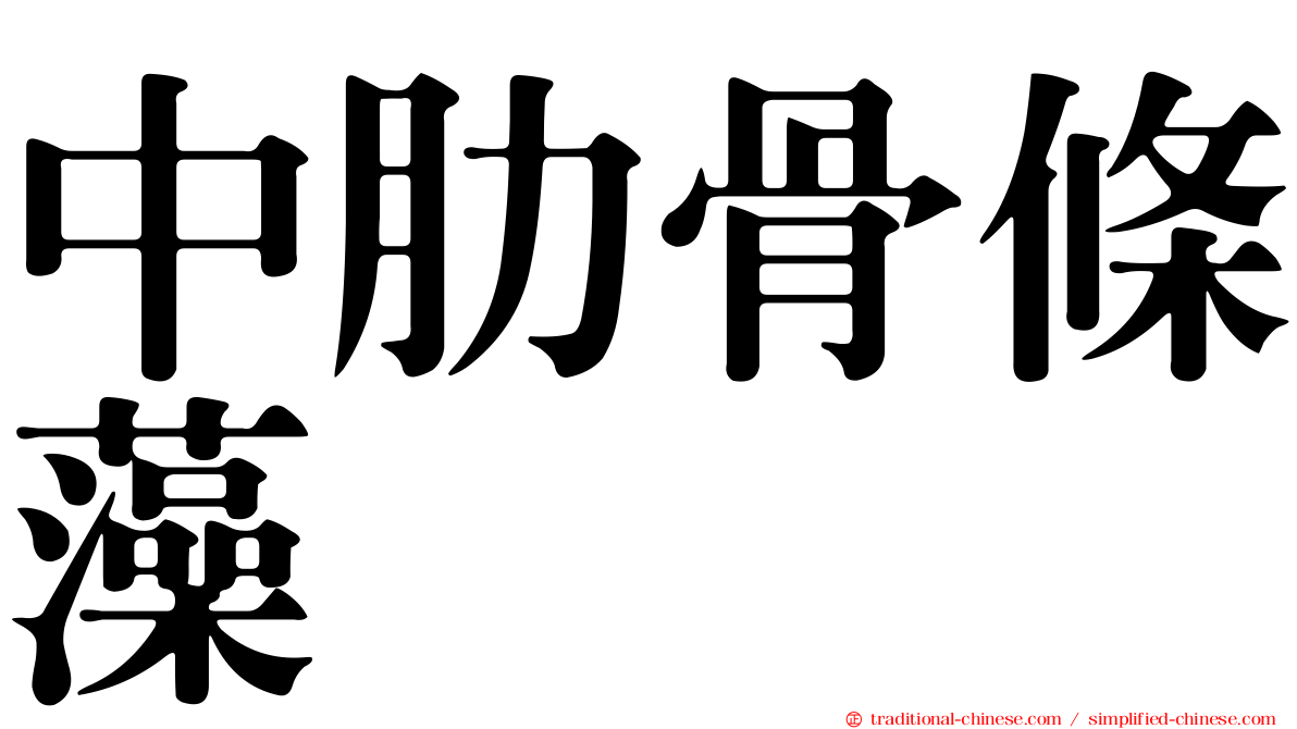 中肋骨條藻